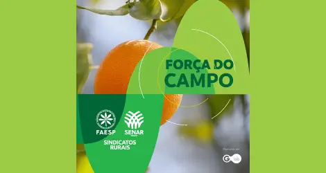 FAESP discute queda no preço da laranja